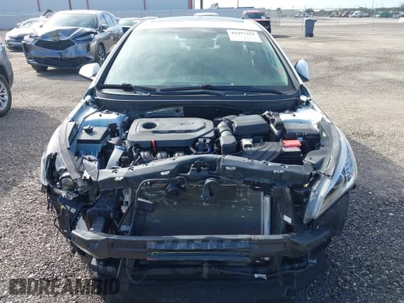 ✅ 2017 Hyundai Sonata Sport • VIN: 5NPE34AF4HH466066 • Лот: 43497421. Опубликован ранее на IAAI с пробегом 29 199 миль. Бесплатный доступ к архиву аукционных продаж из США и подробный отчёт об истории автомобиля на DreamBid. Изображение 10.