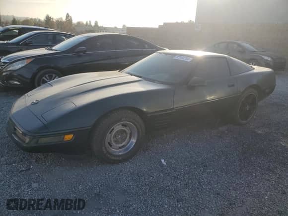 1994 Chevrolet Corvette with VIN 1G1YY22P2R5113040, listed as a Copart auction lot 83253754 with 178,544 mi miles and Clean title. Bid and sale history available at DreamBid. Image 1.