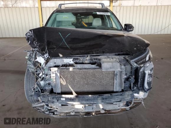 ✅ 2021 Hyundai Palisade SEL • VIN: KM8R24HEXMU181272 • Лот: 73129624. Опубликован ранее на Copart с пробегом 118 541 миль. Бесплатный доступ к архиву аукционных продаж из США и подробный отчёт об истории автомобиля на DreamBid. Изображение 5.