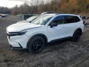 ✅ 2024 Honda CR-V Sport-L • VIN: 7FARS6H80RE072284 • Лот: 91893535. Опубликован ранее на Copart с пробегом 10 986 миль. Бесплатный доступ к архиву аукционных продаж из США и подробный отчёт об истории автомобиля на DreamBid. Изображение 1.