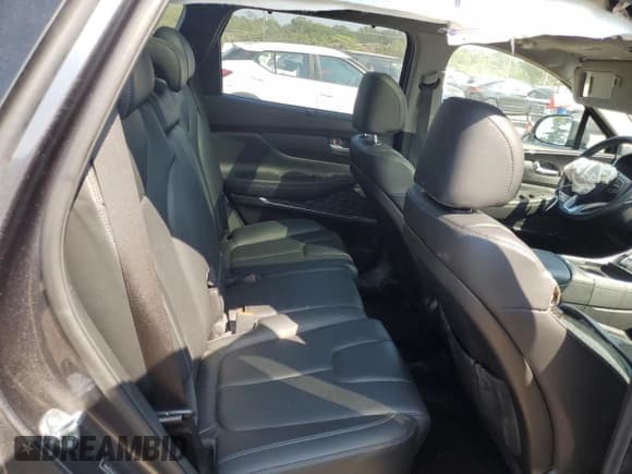 ✅ 2023 Hyundai Santa Fe SEL • VIN: 5NMS3DAJ4PH606054 • Lot: 81433425. Wystawiony na Copart z przebiegiem 46 944 mil. Bezpłatny archiwum sprzedaży aukcyjnych z USA i szczegółowy raport historii pojazdu na DreamBid. Zdjęcie 11.