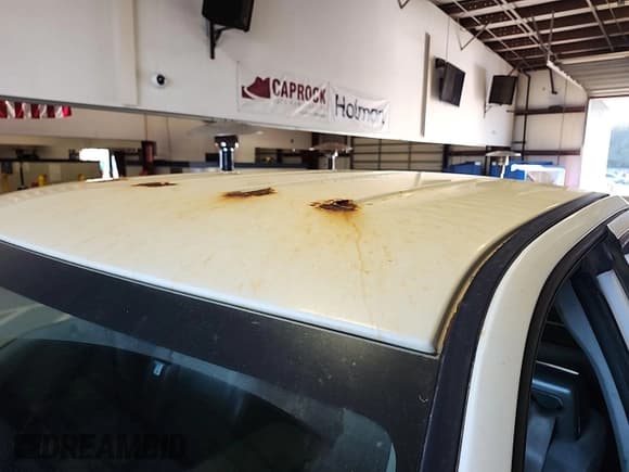 ✅ 2008 Ford F-150 XL • VIN: 1FTRF12208KB17197 • Lot: 43937892. Listed on IAAI with 36,639 mi. Free auction sales archive from the USA and detailed vehicle history report at DreamBid. Image 31.