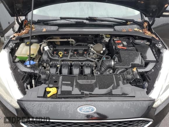 ✅ 2015 Ford Focus SE • VIN: 1FADP3F2XFL205488 • Lot: 85360705. Wystawiony na Copart z przebiegiem 137 388 mil. Bezpłatny archiwum sprzedaży aukcyjnych z USA i szczegółowy raport historii pojazdu na DreamBid. Zdjęcie 11.