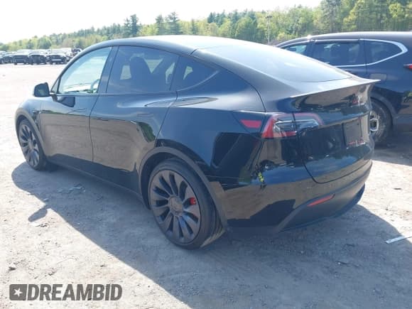 ✅ 2025 Tesla Model Y Performance • VIN: 7SAYGDEFXSF309548 • Lot: 42257262. Listed on IAAI with 5,829 mi. Free auction sales archive from the USA and detailed vehicle history report at DreamBid. Image 3.