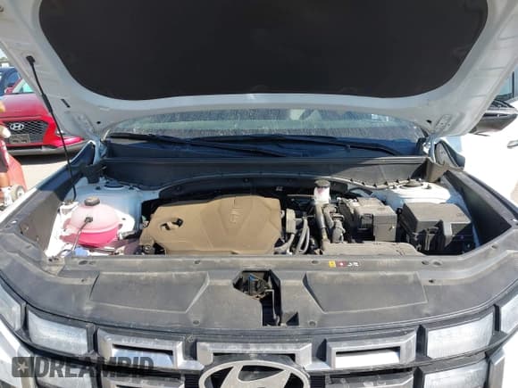 ✅ 2025 Hyundai Santa Cruz SEL • VIN: 5NTJB4DE1SH142618 • Лот: 43308976. Опубликован ранее на IAAI с пробегом 13 648 миль. Бесплатный доступ к архиву аукционных продаж из США и подробный отчёт об истории автомобиля на DreamBid. Изображение 10.