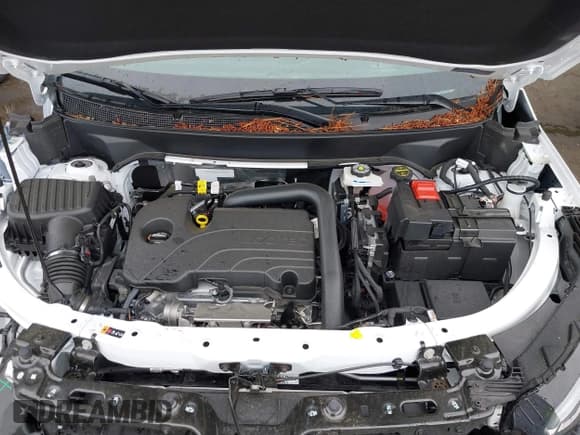 ✅ 2025 Chevrolet Equinox FWD LT • VIN: 3GNAXHEGXSL159643 • Lot: 42344223. Wystawiony na IAAI z przebiegiem 1 821 mil. Bezpłatny archiwum sprzedaży aukcyjnych z USA i szczegółowy raport historii pojazdu na DreamBid. Zdjęcie 10.