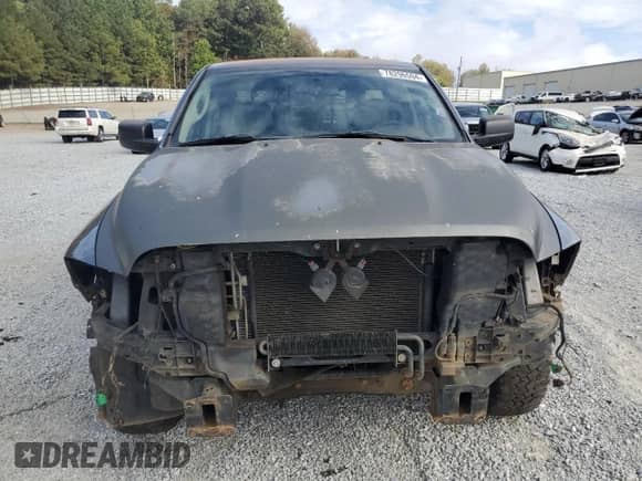 2010 Dodge 1500 ST with VIN 1D7RB1GP9AS154454, listed as a Copart auction lot 78296594 with 195,267 mi miles and Salvage title. Bid and sale history available at DreamBid. Image 5.