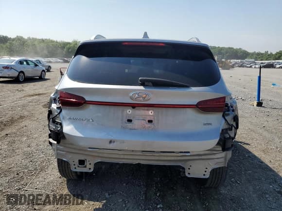 ✅ 2023 Hyundai Santa Fe SEL • VIN: 5NMS3DAJ4PH569409 • Lot: 59718724. Wystawiony na Copart z przebiegiem 40 972 mil. Bezpłatny archiwum sprzedaży aukcyjnych z USA i szczegółowy raport historii pojazdu na DreamBid. Zdjęcie 6.