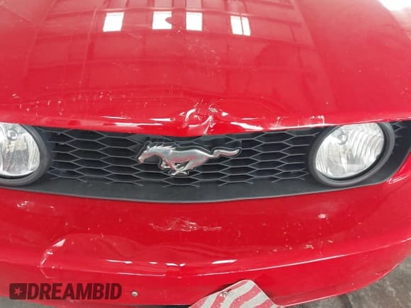 ✅ 2009 Ford Mustang GT • VIN: 1ZVHT82H895117740 • Лот: 42685840. Опубликован ранее на IAAI с пробегом 163 013 миль. Бесплатный доступ к архиву аукционных продаж из США и подробный отчёт об истории автомобиля на DreamBid. Изображение 6.