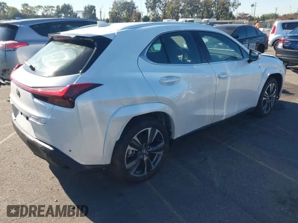 ✅ 2024 Lexus UX 250h Premium • VIN: JTHP6JBH7R2192331 • Лот: 43897786. Опубликован ранее на IAAI с пробегом 13 009 миль. Бесплатный доступ к архиву аукционных продаж из США и подробный отчёт об истории автомобиля на DreamBid. Изображение 4.