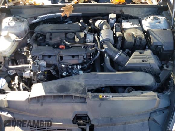 2020 Hyundai Sonata SEL Plus с VIN 5NPEJ4J25LH023808, выставлен на аукционе Copart как лот 66176282 с пробегом 49 506 миль миль и . История ставок и продаж доступна на DreamBid. Изображение 7.