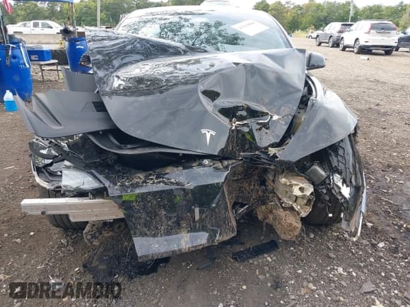 ✅ 2024 Tesla Model 3 • VIN: 5YJ3E1EA3RF746589 • Lot: 43211864. Wystawiony na IAAI z przebiegiem 11 116 mil. Bezpłatny archiwum sprzedaży aukcyjnych z USA i szczegółowy raport historii pojazdu na DreamBid. Zdjęcie 11.