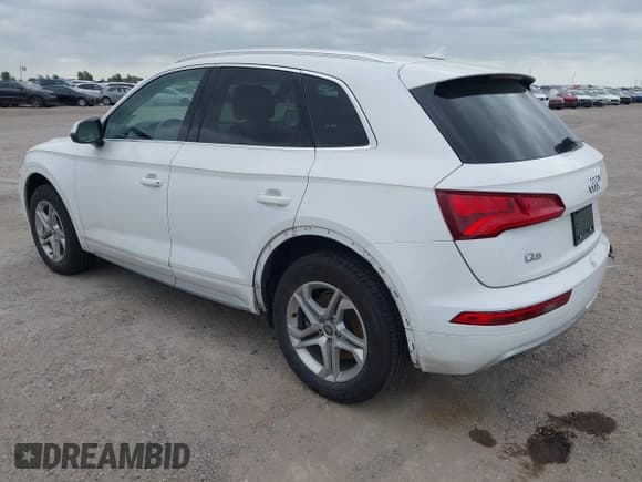 ✅ 2019 Audi Q5 Premium • VIN: WA1ANAFY9K2092462 • Lot: 42303146. Listed on IAAI with 77,161 mi. Free auction sales archive from the USA and detailed vehicle history report at DreamBid. Image 3.