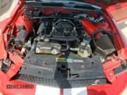 ✅ 2008 Ford Mustang Shelby GT500 • VIN: 1ZVHT89S185135500 • Лот: 58160015. Опубликован ранее на Copart с пробегом 20 643 миль. Бесплатный доступ к архиву аукционных продаж из США и подробный отчёт об истории автомобиля на DreamBid. Изображение 11.