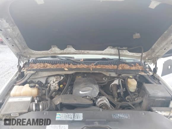 ✅ 2002 Chevrolet Silverado 2500HD • VIN: 1GCHC24U92E140704 • Lot: 43611134. Wystawiony na IAAI z przebiegiem Nie podano. Bezpłatny archiwum sprzedaży aukcyjnych z USA i szczegółowy raport historii pojazdu na DreamBid. Zdjęcie 10.