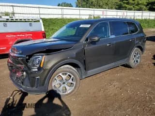 ✅ 2020 Kia Telluride EX • VIN: 5XYP3DHC5LG002286 • Lot: 70284025. Listed on Copart with 81,150 mi. Free auction sales archive from the USA and detailed vehicle history report at DreamBid. Image 1.