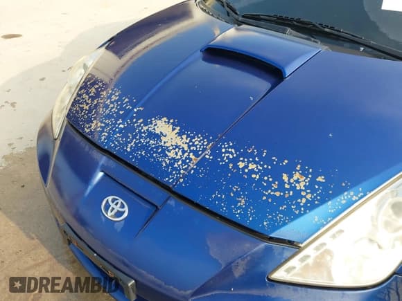 ✅ 2005 Toyota Celica GT • VIN: JTDDR32T850181369 • Lot: 43705456. Wystawiony na IAAI z przebiegiem 161 938 mil. Bezpłatny archiwum sprzedaży aukcyjnych z USA i szczegółowy raport historii pojazdu na DreamBid. Zdjęcie 6.