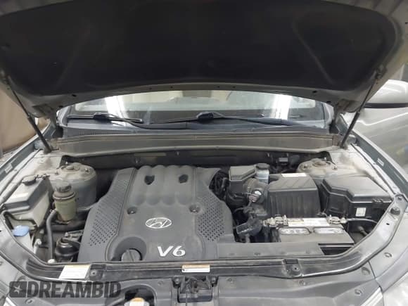 ✅ 2008 Hyundai Santa Fe GLS • VIN: 5NMSG13D98H174556 • Lot: 43633100. Listed on IAAI with 114,450 mi. Free auction sales archive from the USA and detailed vehicle history report at DreamBid. Image 10.