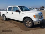 ✅ 2011 Ford F-150 XLT • VIN: 1FTFW1CF3BFD13817 • Lot: 43558556. Listed on IAAI with 211,999 mi. Free auction sales archive from the USA and detailed vehicle history report at DreamBid. Image 1.