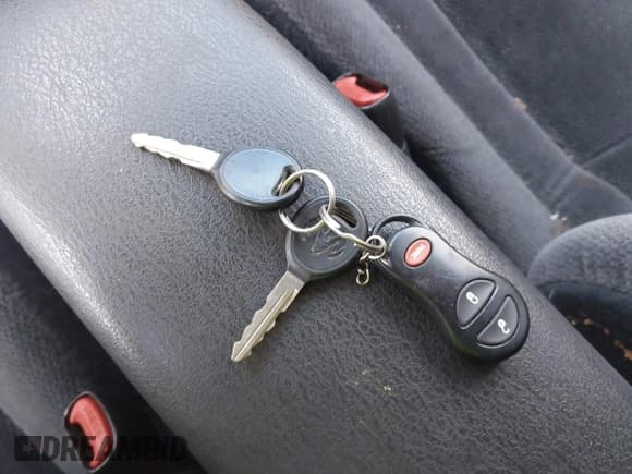 ✅ 2004 Dodge Dakota SLT • VIN: 1D7HG48N04S528935 • Lot: 43577572. Listed on IAAI with 115,355 mi. Free auction sales archive from the USA and detailed vehicle history report at DreamBid. Image 11.