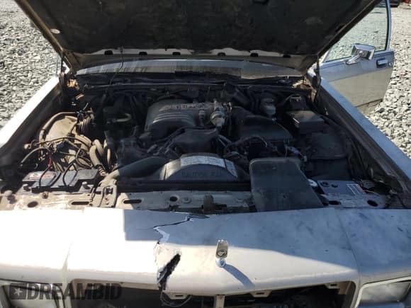 ✅ 1990 Mercury Grand Marquis • VIN: 2MECM75FXLX651812 • Lot: 81373235. Wystawiony na Copart z przebiegiem 9 676 mil. Bezpłatny archiwum sprzedaży aukcyjnych z USA i szczegółowy raport historii pojazdu na DreamBid. Zdjęcie 11.