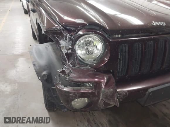 ✅ 2004 Jeep Liberty Limited • VIN: 1J4GK58K64W205203 • Lot: 41845473. Listed on IAAI with 121,486 mi. Free auction sales archive from the USA and detailed vehicle history report at DreamBid. Image 6.