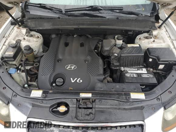 2007 Hyundai Santa Fe GLS with VIN 5NMSG13D07H082430, listed as a Copart auction lot 73949014 with Not provided miles and Salvage title. Bid and sale history available at DreamBid. Image 12.