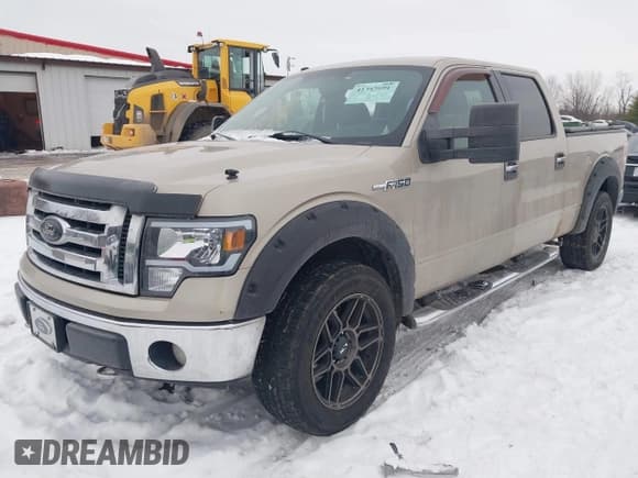 ✅ 2009 Ford F-150 XL • VIN: 1FTPW14VX9FA21926 • Lot: 41345691. Listed on IAAI with 251,446 mi. Free auction sales archive from the USA and detailed vehicle history report at DreamBid. Image 2.