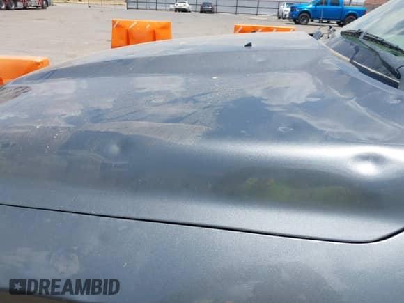 2010 Dodge 1500 TRX z VIN 1D7RB1CP7AS156077, wystawiony jako IAAI lot #42549980 z przebiegiem 330 263 mil mil oraz . Historia ofert i sprzedaży dostępna na DreamBid. Obrazek 18.