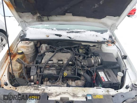 1998 Chevrolet Malibu z VIN 1G1ND52M6WY148731, wystawiony jako IAAI lot #41297219 z przebiegiem 228 054 mil mil oraz . Historia ofert i sprzedaży dostępna na DreamBid. Obrazek 10.