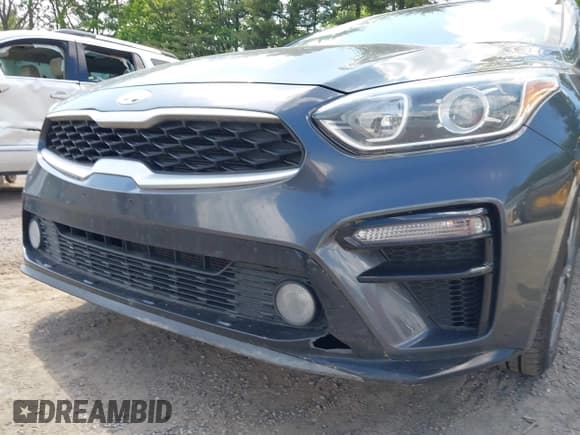 ✅ 2019 Kia Forte LXS • VIN: 3KPF24AD5KE099888 • Lot: 42279249. Listed on IAAI with 90,095 mi. Free auction sales archive from the USA and detailed vehicle history report at DreamBid. Image 17.