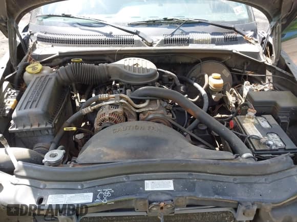 ✅ 1997 Dodge Dakota • VIN: 1B7FL26X6VS243843 • Lot: 42116742. Wystawiony na IAAI z przebiegiem 266 588 mil. Bezpłatny archiwum sprzedaży aukcyjnych z USA i szczegółowy raport historii pojazdu na DreamBid. Zdjęcie 10.