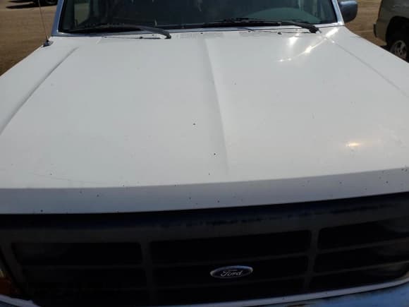 ✅ 1992 Ford F-150 • VIN: 1FTDF15Y6NNA72948 • Lot: 70535984. Wystawiony na Copart z przebiegiem Nie podano. Bezpłatny archiwum sprzedaży aukcyjnych z USA i szczegółowy raport historii pojazdu na DreamBid. Zdjęcie 11.