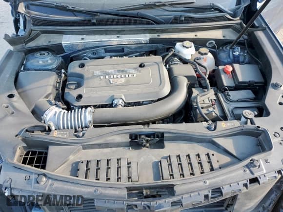 ✅ 2024 Cadillac XT4 FWD Premium Luxury • VIN: 1GYFZCR48RF209093 • Lot: 82405655. Listed on Copart with 19,042 mi. Free auction sales archive from the USA and detailed vehicle history report at DreamBid. Image 11.