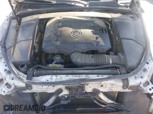 ✅ 2010 Cadillac CTS Performance • VIN: 1G6DJ5EV8A0109360 • Lot: 43123801. Wystawiony na IAAI z przebiegiem 222 065 mil. Bezpłatny archiwum sprzedaży aukcyjnych z USA i szczegółowy raport historii pojazdu na DreamBid. Zdjęcie 10.