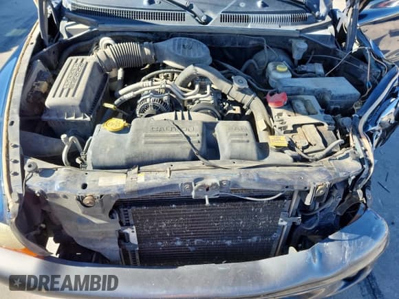 ✅ 2002 Dodge Dakota • VIN: 1B7GG12X92S541890 • Lot: 81441495. Wystawiony na Copart z przebiegiem 206 440 mil. Bezpłatny archiwum sprzedaży aukcyjnych z USA i szczegółowy raport historii pojazdu na DreamBid. Zdjęcie 11.