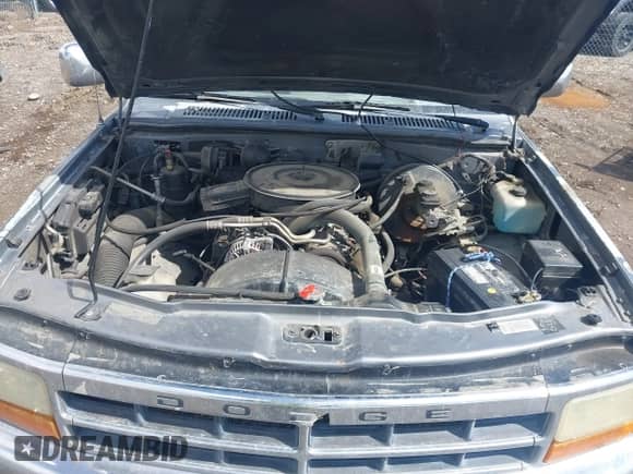 1995 Dodge Dakota с VIN 1B7GL23X4SS283696, выставлен на аукционе IAAI как лот 41915325 с пробегом 305 457 миль миль и . История ставок и продаж доступна на DreamBid. Изображение 10.