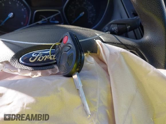 ✅ 2016 Ford Focus S • VIN: 1FADP3E29GL389986 • Lot: 43748330. Wystawiony na IAAI z przebiegiem 76 471 mil. Bezpłatny archiwum sprzedaży aukcyjnych z USA i szczegółowy raport historii pojazdu na DreamBid. Zdjęcie 11.