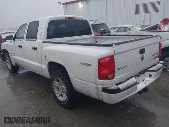 ✅ 2010 Dodge Dakota Bighorn/Lonestar • VIN: 1D7CW3GK0AS228256 • Lot: 41552140. Wystawiony na IAAI z przebiegiem 195 566 mil. Bezpłatny archiwum sprzedaży aukcyjnych z USA i szczegółowy raport historii pojazdu na DreamBid. Zdjęcie 3.