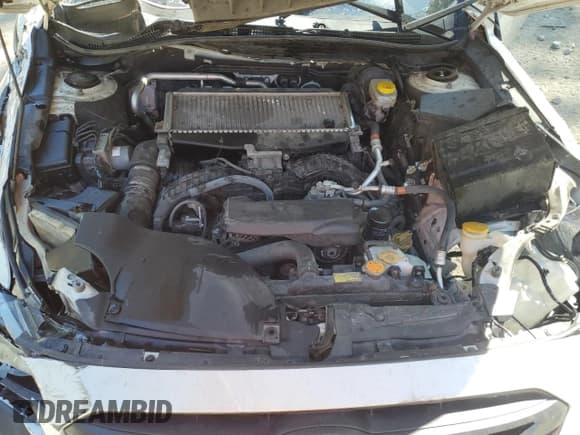 ✅ 2023 Subaru Outback Wilderness • VIN: 4S4BTGUD5P3221555 • Лот: 81040895. Опубликован ранее на Copart с пробегом Не указан. Бесплатный доступ к архиву аукционных продаж из США и подробный отчёт об истории автомобиля на DreamBid. Изображение 12.