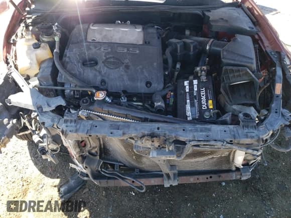 ✅ 2007 Nissan Maxima SE • VIN: 1N4BA41E97C824567 • Lot: 71821755. Wystawiony na Copart z przebiegiem Nie podano. Bezpłatny archiwum sprzedaży aukcyjnych z USA i szczegółowy raport historii pojazdu na DreamBid. Zdjęcie 11.