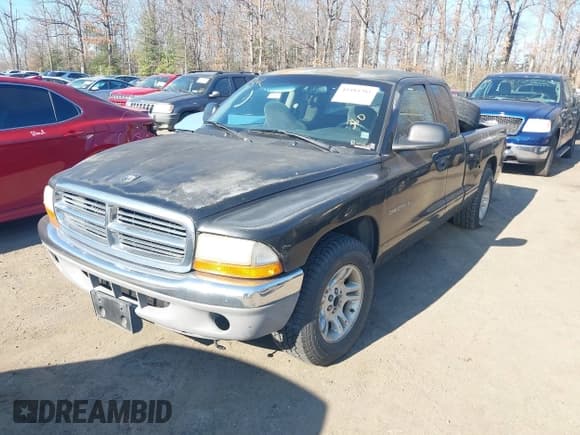 ✅ 2001 Dodge Dakota • VIN: 1B7GL22X11S307842 • Lot: 41484381. Wystawiony na IAAI z przebiegiem 154 012 mil. Bezpłatny archiwum sprzedaży aukcyjnych z USA i szczegółowy raport historii pojazdu na DreamBid. Zdjęcie 2.