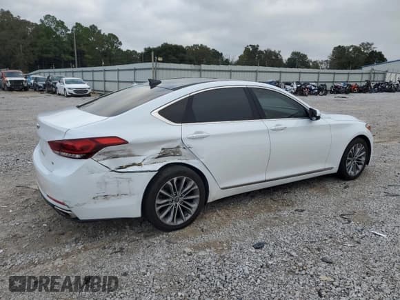 ✅ 2017 Genesis G80 3.8L • VIN: KMHGN4JE8HU207303 • Lot: 90423495. Listed on Copart with 135,182 mi. Free auction sales archive from the USA and detailed vehicle history report at DreamBid. Image 3.