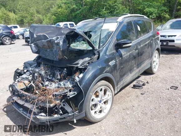 ✅ 2015 Ford Escape Titanium • VIN: 1FMCU0J99FUA73590 • Lot: 42152021. Listed on IAAI with Not provided. Free auction sales archive from the USA and detailed vehicle history report at DreamBid. Image 2.