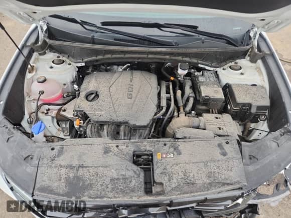 2024 Hyundai Tucson SEL with VIN 5NMJB3DE9RH427566, listed as a Copart auction lot 86454155 with 36,393 mi miles and Clean title. Bid and sale history available at DreamBid. Image 12.