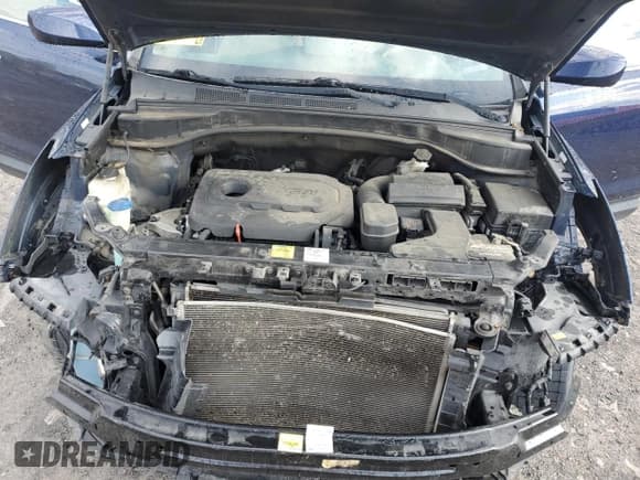 ✅ 2017 Hyundai Santa Fe 2.4L • VIN: 5XYZUDLB8HG399214 • Лот: 87466575. Опубликован ранее на Copart с пробегом 152 505 миль. Бесплатный доступ к архиву аукционных продаж из США и подробный отчёт об истории автомобиля на DreamBid. Изображение 12.