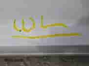 2014 Chevrolet Corvette Z51 1LT with VIN 1G1YH2D70E5128854, listed as a Copart auction lot 76818944 with 26,783 mi miles and Salvage title. Bid and sale history available at DreamBid. Image 12.