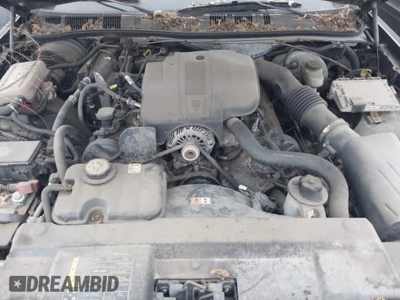 ✅ 2005 Ford Police Interceptor • VIN: 2FAHP71WX5X154384 • Lot: 40735796. Listed on IAAI with 84,143 mi. Free auction sales archive from the USA and detailed vehicle history report at DreamBid. Image 10.