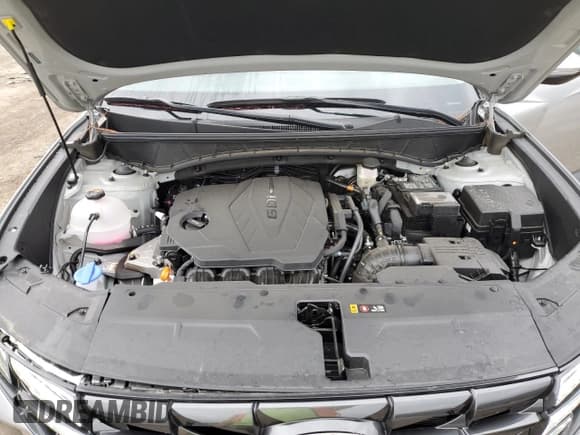 ✅ 2024 Hyundai Tucson SEL • VIN: 5NMJF3DE8RH409404 • Lot: 71185334. Wystawiony na Copart z przebiegiem 8 260 mil. Bezpłatny archiwum sprzedaży aukcyjnych z USA i szczegółowy raport historii pojazdu na DreamBid. Zdjęcie 12.