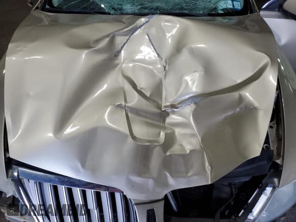 ✅ 2010 Lincoln MKS • VIN: 1LNHL9DR3AG614827 • Lot: 62891885. Wystawiony na Copart z przebiegiem Nie podano. Bezpłatny archiwum sprzedaży aukcyjnych z USA i szczegółowy raport historii pojazdu na DreamBid. Zdjęcie 11.